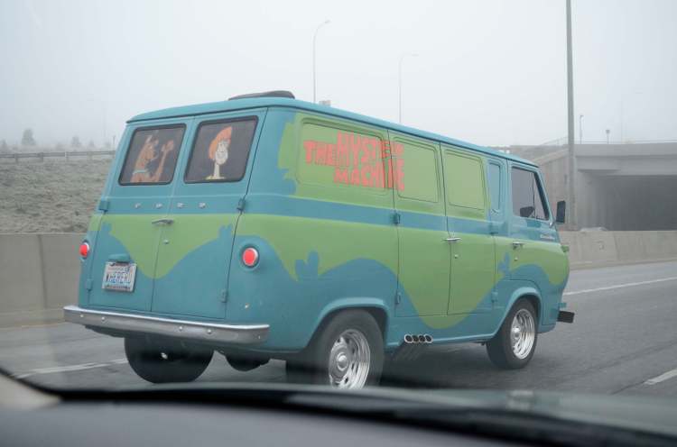 Someone likes Scooby Doo (Note license plate.)